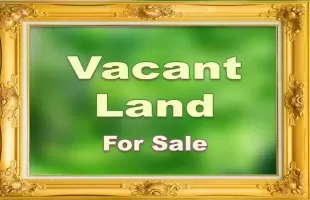 1508 Fairview Avenue, Joliet, Illinois 60432, ,Land,For Sale,Fairview,MRD10702458