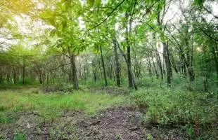Lot 17 166th Lane, Lowell, Indiana, ,Land,Sale,166th,GNR538183