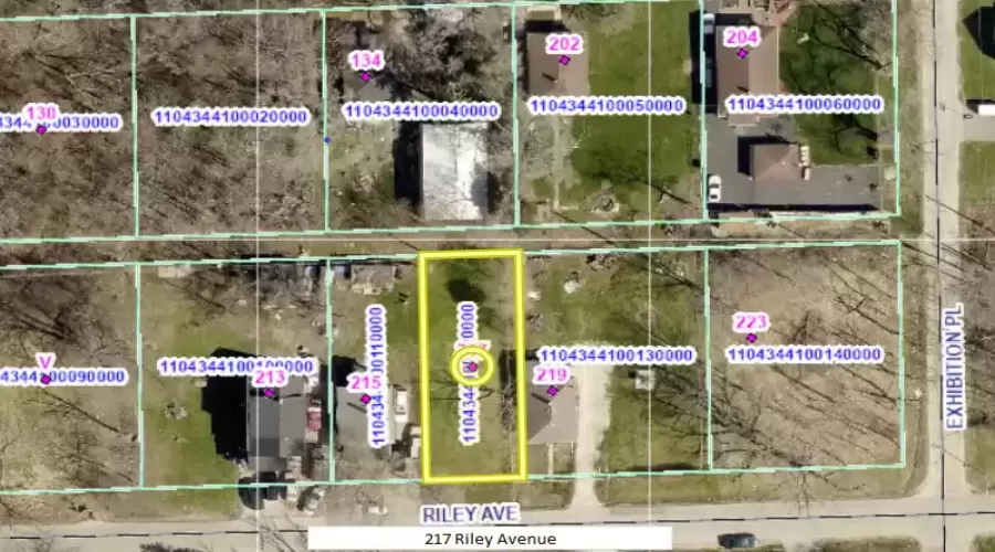 217 Riley Avenue, Lockport, Illinois 60441, ,Land,For Sale,Riley,MRD12077011