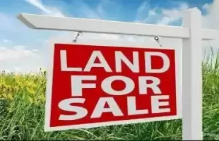 0 Dutch Drive, Frankfort, Illinois 60423, ,Land,For Sale,Dutch,MRD12083299