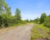 0000 Beth Drive, Homer Glen, Illinois 60491, ,Land,For Sale,Beth,MRD12116331