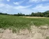 Will Cook Rd.+ Southwest Highway, Mokena, Illinois 60448, ,Farm,For Sale,Southwest,MRD12126950