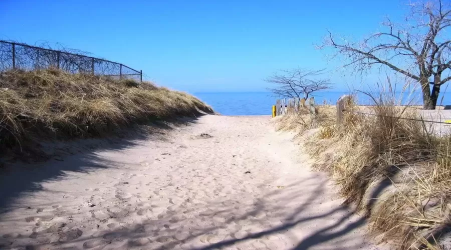 beach trail