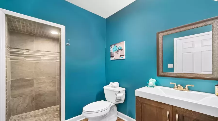 Basement Bathroom with Ceramic Shower