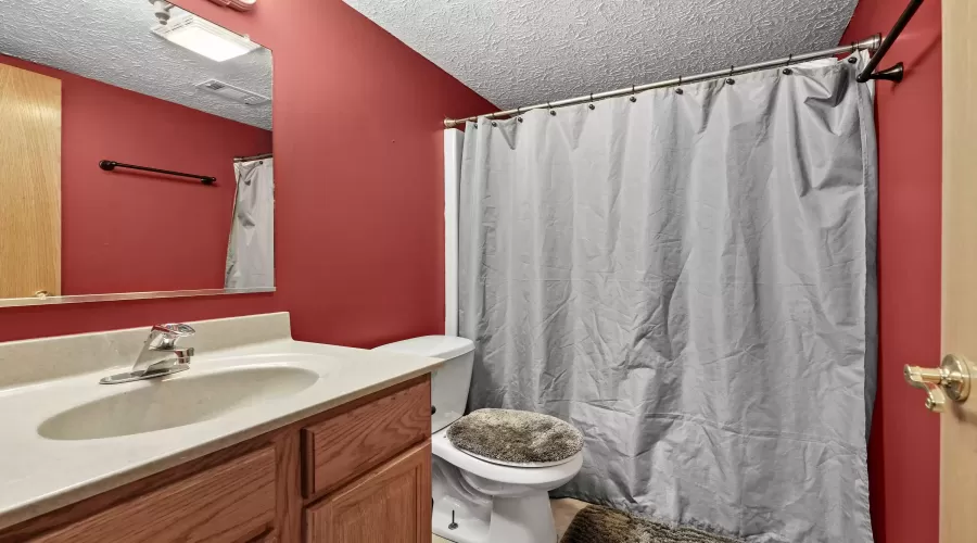 Lower Level Bathroom