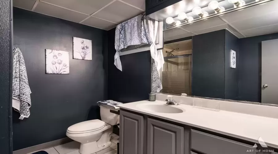 3rd Bathroom in Basement