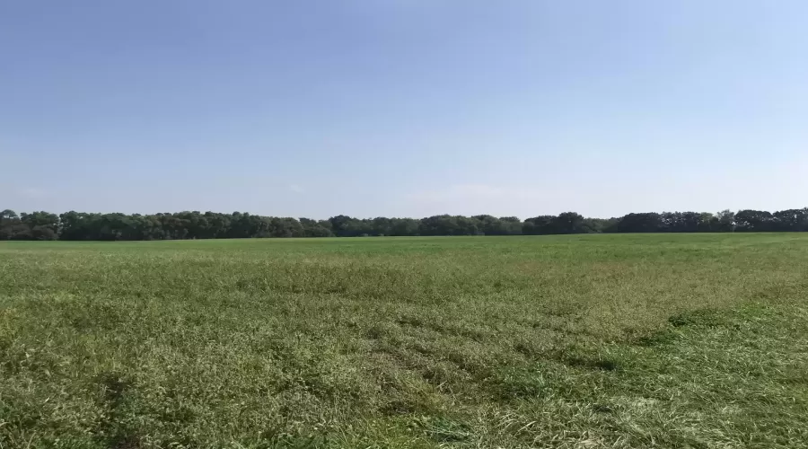 42909 Deep Lake Road, Antioch, Illinois 60002, ,Farm,For Sale,Deep Lake,MRD12157433