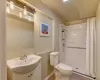 Basement Bathroom